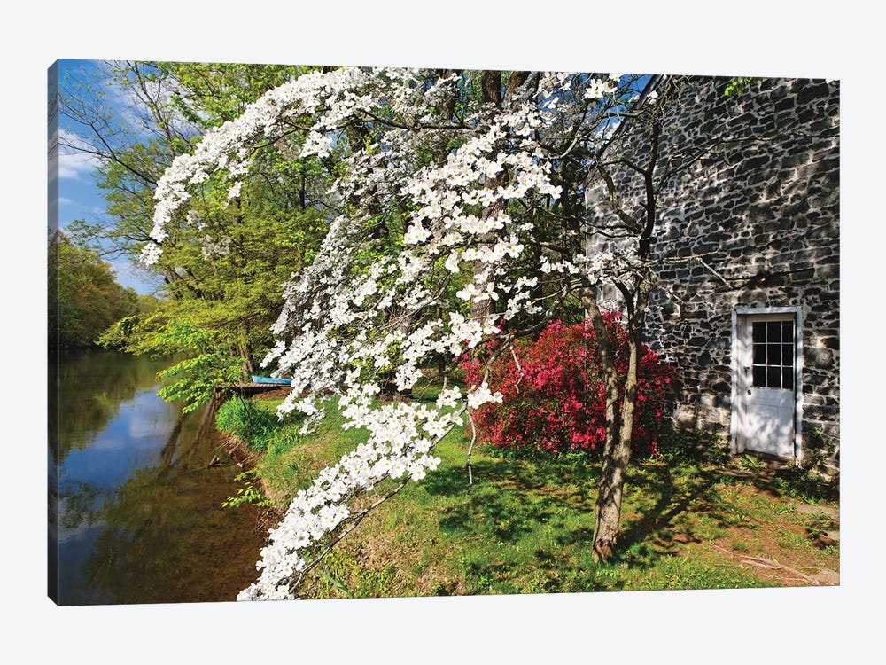 Spring Flower Bloom At The Delaware-Raritan Canal, New Jersey by George Oze 1-piece Canvas Artwork