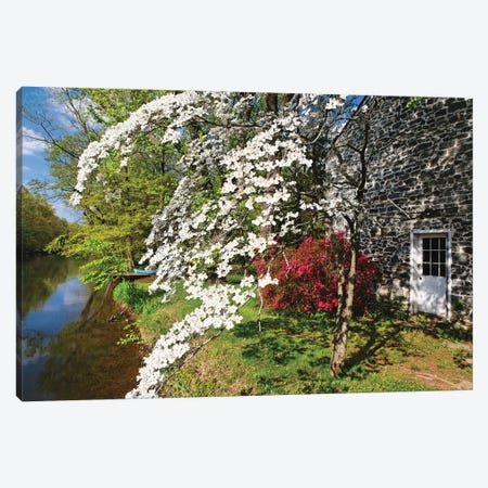 Spring Flower Bloom At The Delaware-Raritan Canal, New Jersey Canvas Print #GOZ629} by George Oze Art Print