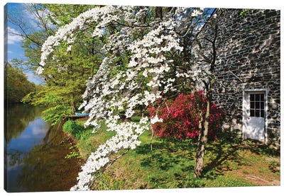 Spring Flower Bloom At The Delaware-Raritan Canal, New Jersey Canvas Art Print - George Oze