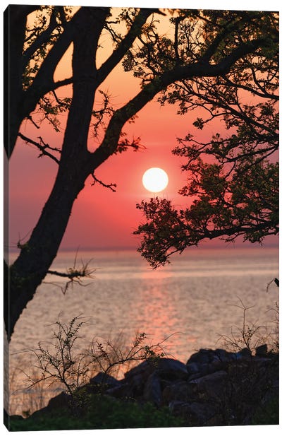 Sunset Over Lower New York Bay, Sandy Hook, New Jersey, USA Canvas Art Print - New Jersey Art