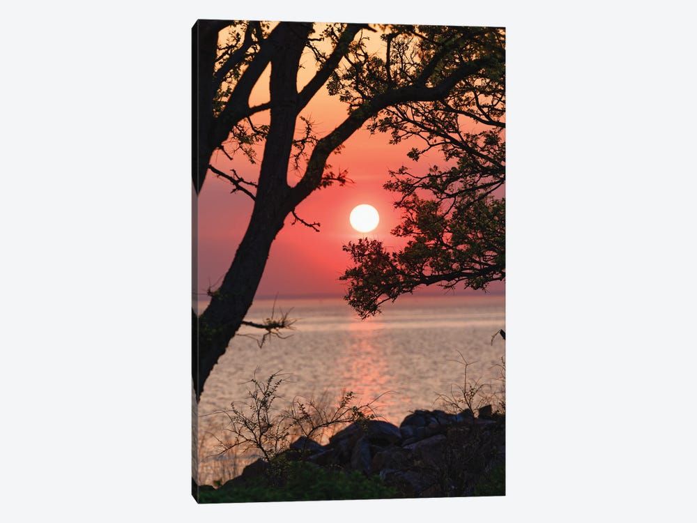 Sunset Over Lower New York Bay, Sandy Hook, New Jersey, USA by George Oze 1-piece Canvas Print