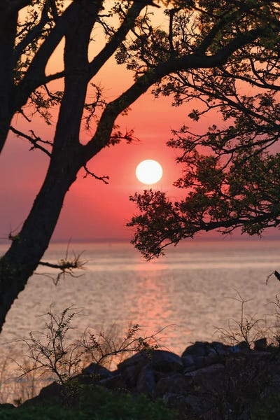 New Jersey: Sunset Over Lower New York Bay, Sandy Hook, New Jersey, USA by George Oze