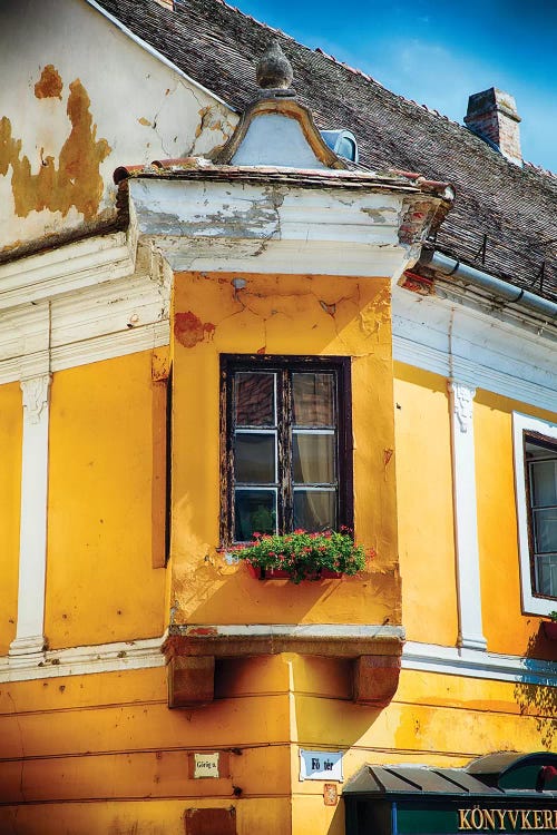 Corner Window with Flowers