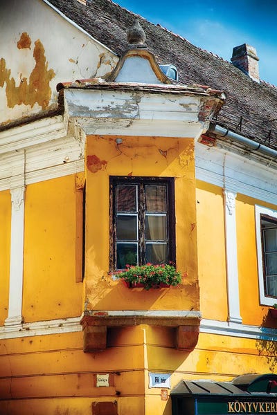 George Oze: Corner Window with Flowers by George Oze