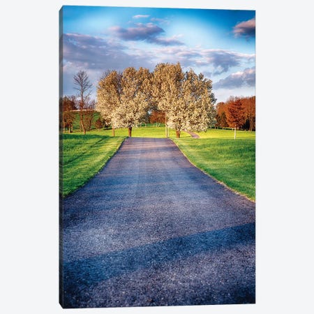 Country Road with Blooming Trees Canvas Print #GOZ64} by George Oze Canvas Art