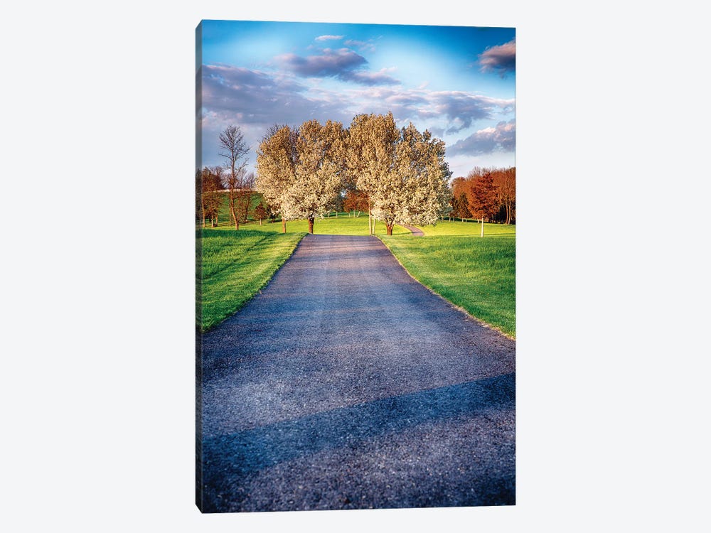 Country Road with Blooming Trees by George Oze 1-piece Canvas Print