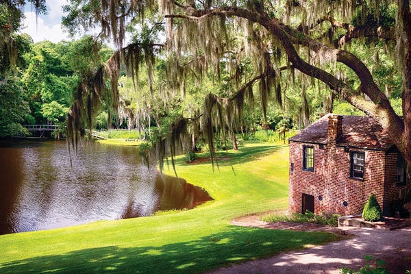 George Oze: Milkhouse At A Pond, Middleton Place Plantation by George Oze