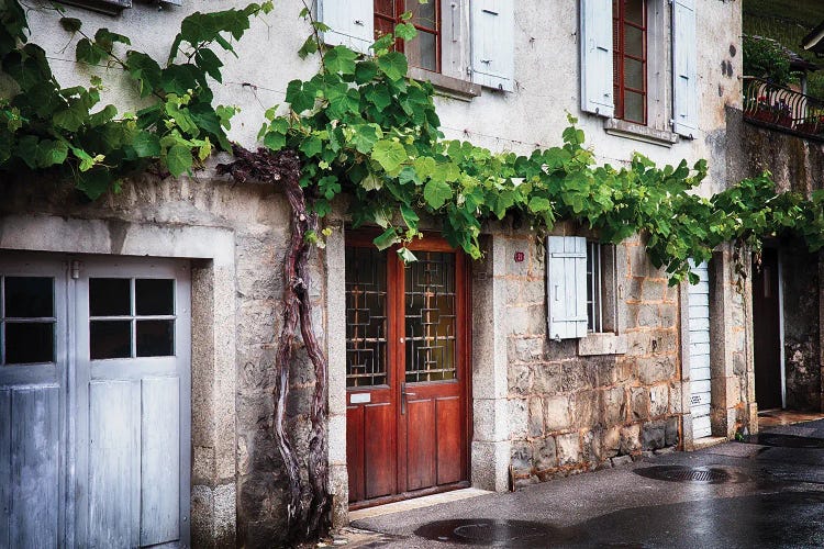 Winery Building Exterior With Old Grapevine, Lavaux, Switzerland