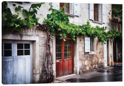 Winery Building Exterior With Old Grapevine, Lavaux, Switzerland Canvas Art Print - George Oze