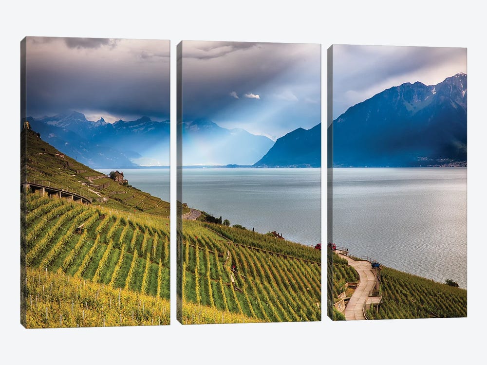 Terraced Vineyard Overlooking Lake Geneva, Switzerland by George Oze 3-piece Canvas Print
