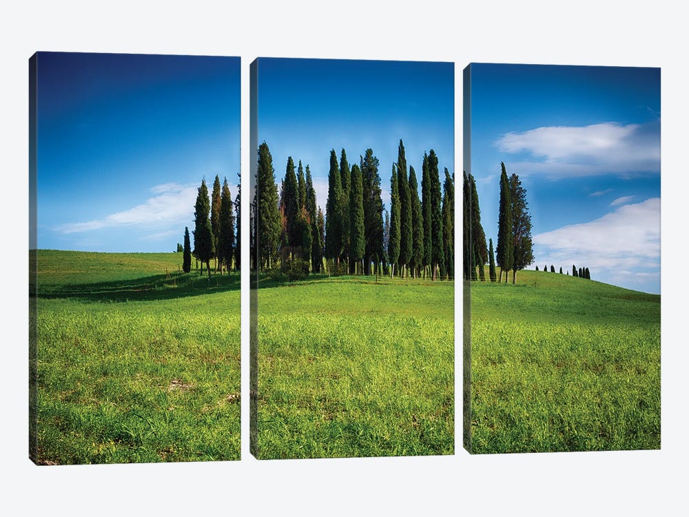 Group Of Cypress Trees On A Knoll, San Quirico D'Orcia, Tuscany, Italy by George Oze 3-piece Canvas Wall Art
