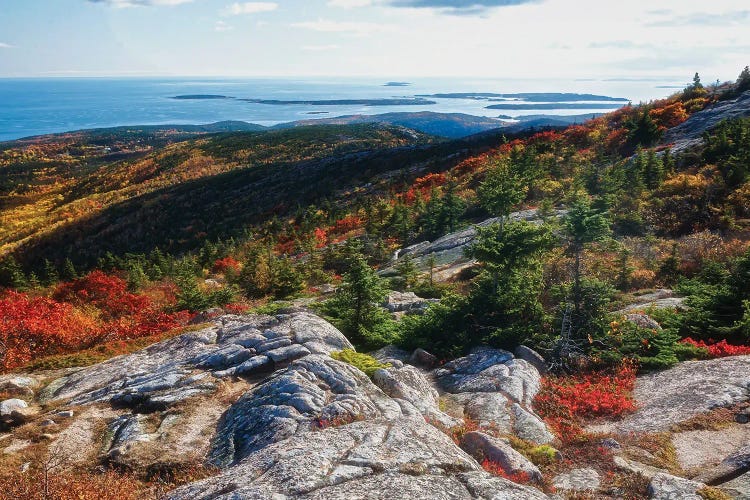 Cadillac Mountain Autumn Scenic Vista, Acadia National Park, Maine