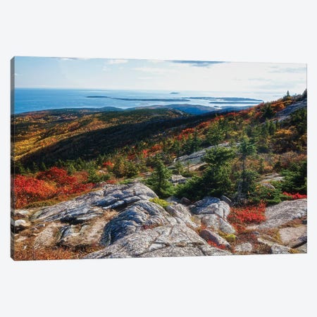 Cadillac Mountain Autumn Scenic Vista, Acadia National Park, Maine Canvas Print #GOZ697} by George Oze Art Print
