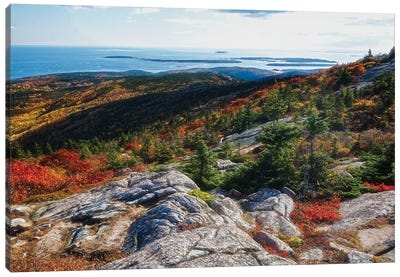 Cadillac Mountain Autumn Scenic Vista, Acadia National Park, Maine Canvas Art Print - Maine Art