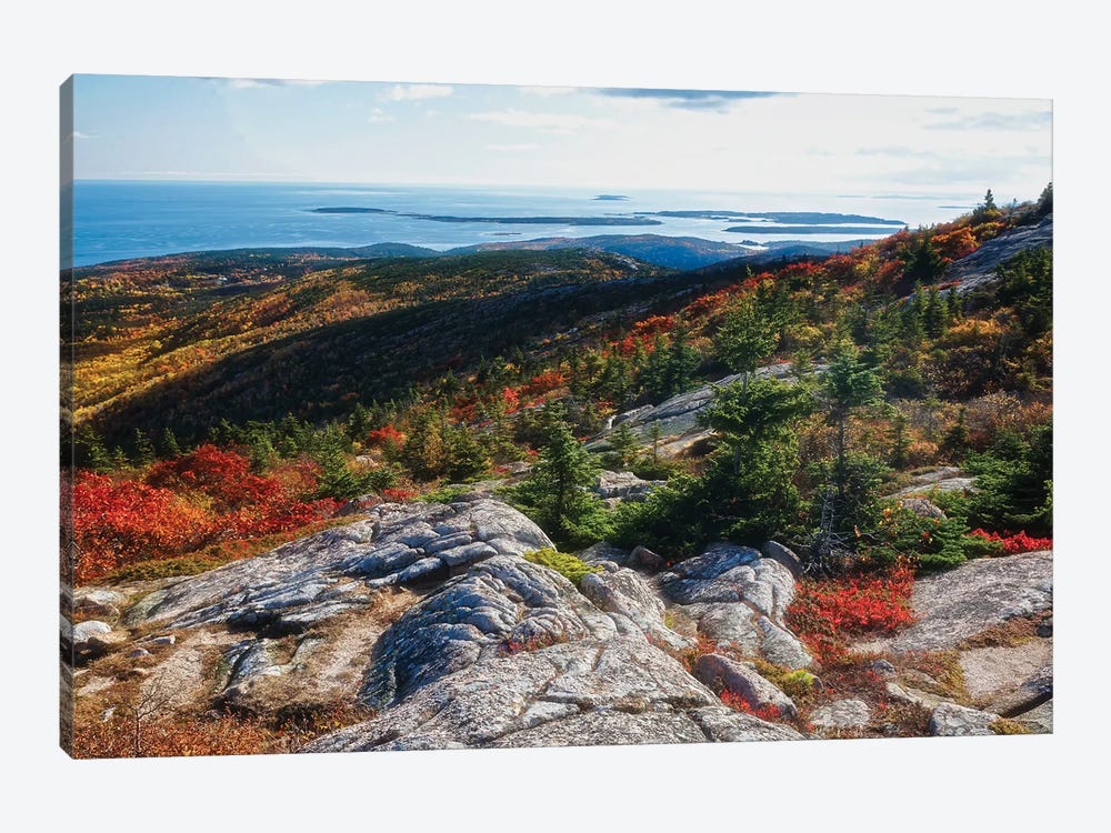 Cadillac Mountain Autumn Scenic Vista, Acadia National Park, Maine by George Oze 1-piece Canvas Art Print