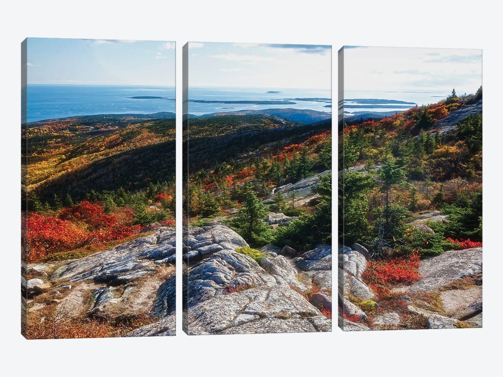Cadillac Mountain Autumn Scenic Vista, Acadia National Park, Maine by George Oze 3-piece Canvas Print