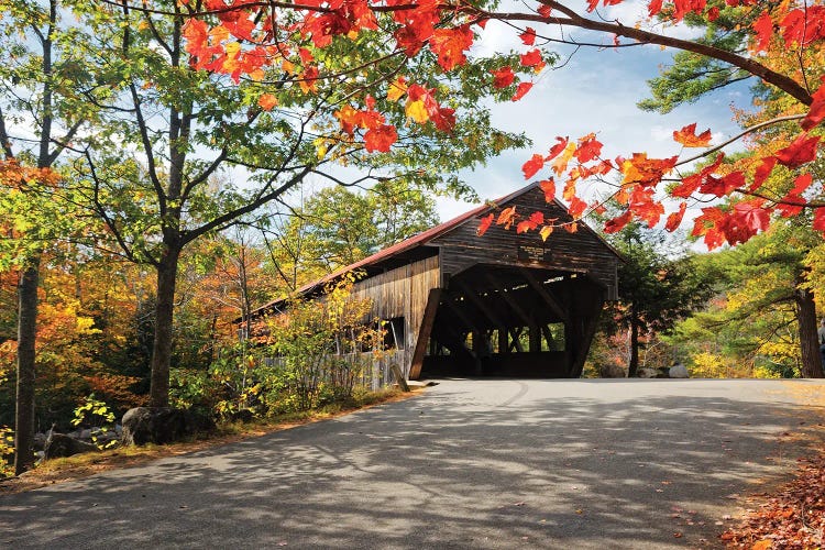 Low Angle View Of A Covered Bridge, Albany, New Hampshire