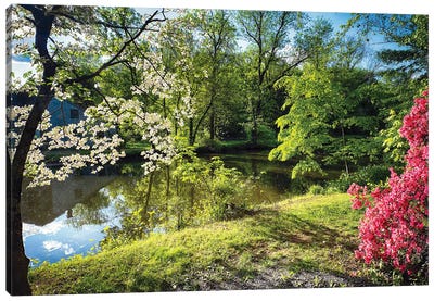 Azalea And Dogwood Bloom At A Creek, Deleware And Raritaln Canal State Park, Griggstown, New Jersey, USA Canvas Art Print - George Oze