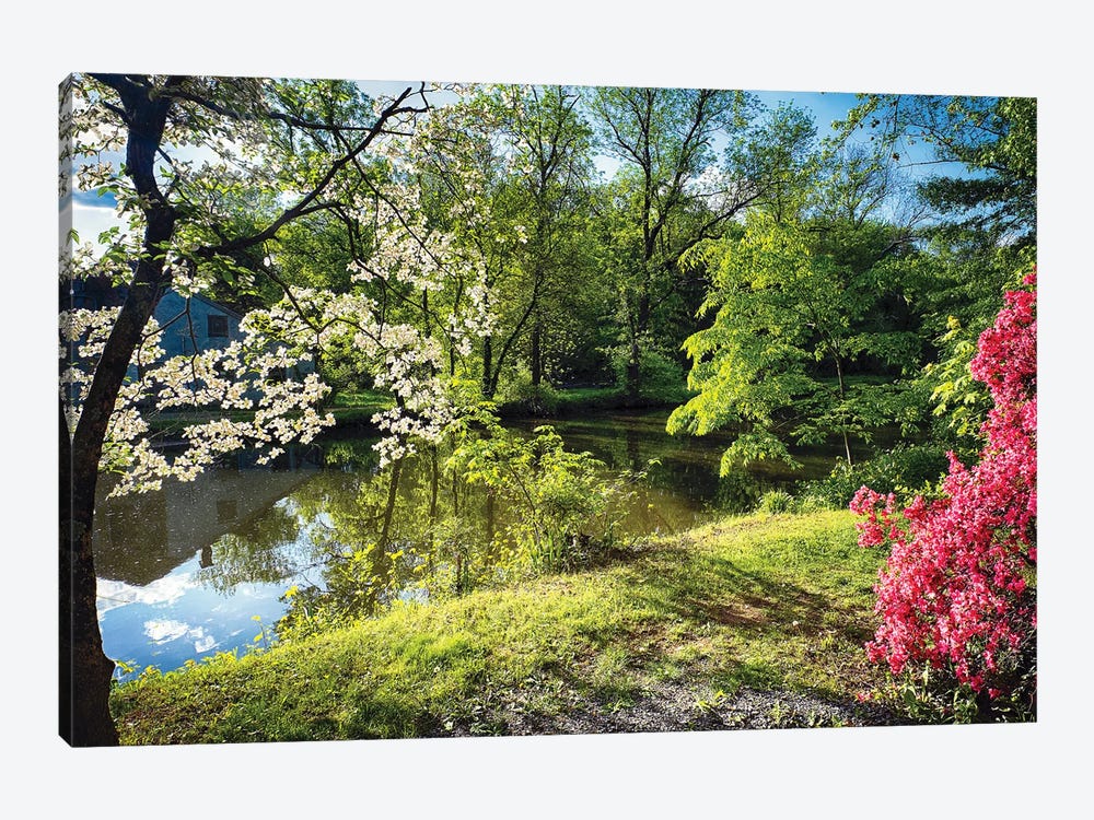 Azalea And Dogwood Bloom At A Creek, Deleware And Raritaln Canal State Park, Griggstown, New Jersey, USA by George Oze 1-piece Canvas Art