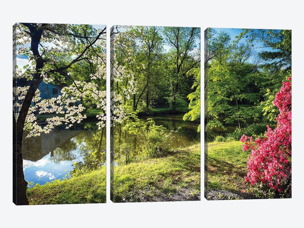 Azalea And Dogwood Bloom At A Creek, Deleware And Raritaln Canal State Park, Griggstown, New Jersey, USA by George Oze 3-piece Canvas Wall Art