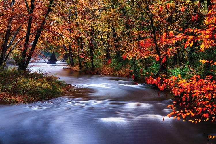 Meandering Lamingtorn River With Autumn Colors, New Jersey