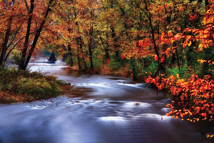 Meandering Lamingtorn River With Autumn Colors, New Jersey by George Oze wall art