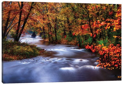 Meandering Lamingtorn River With Autumn Colors, New Jersey Canvas Art Print - George Oze