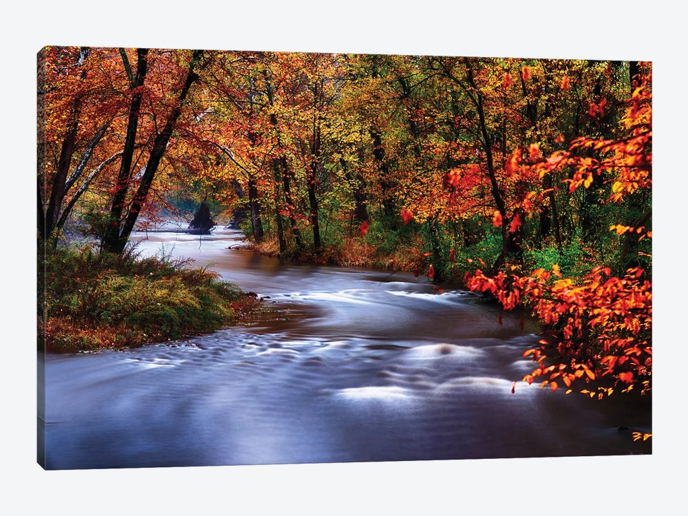 Meandering Lamingtorn River With Autumn Colors, New Jersey by George Oze 1-piece Canvas Art