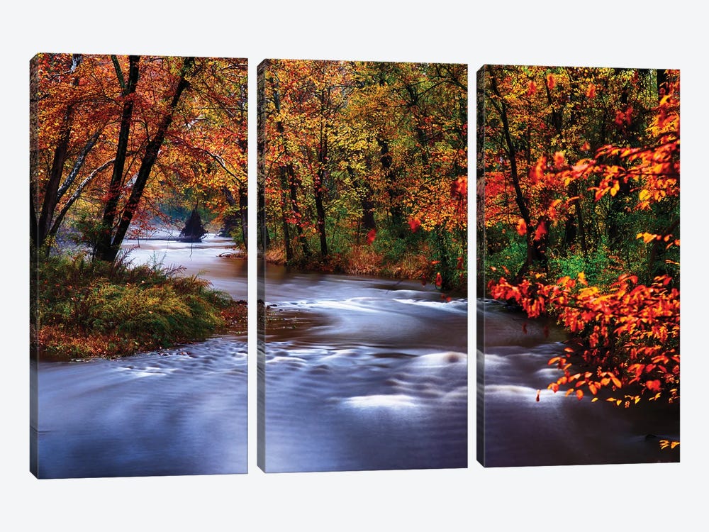 Meandering Lamingtorn River With Autumn Colors, New Jersey by George Oze 3-piece Canvas Wall Art
