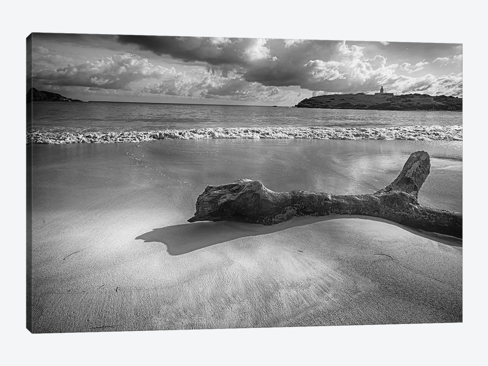 Driftwood on a  Beach, Playa Sucia, Cabo Rojo, Puerto Rico by George Oze 1-piece Art Print