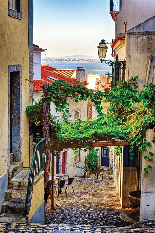 Cobblestone Street With Grapevine Trellis, Alfama District, Lisbon, Portugal