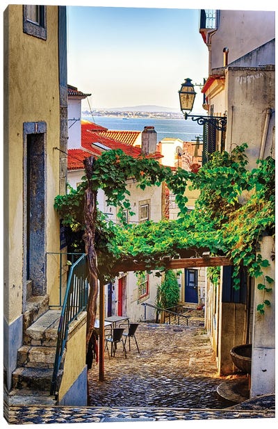 Cobblestone Street With Grapevine Trellis, Alfama District, Lisbon, Portugal Canvas Art Print - George Oze