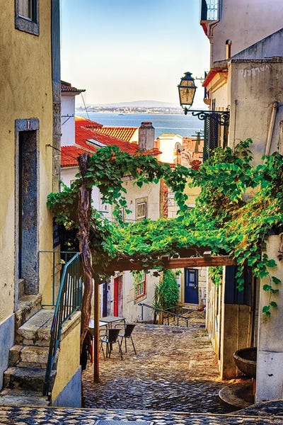 George Oze: Cobblestone Street With Grapevine Trellis, Alfama District, Lisbon, Portugal by George Oze