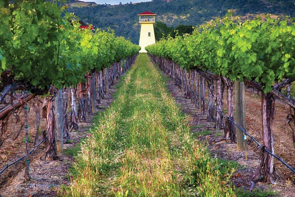 George Oze: Napa Valley Water Tower by George Oze