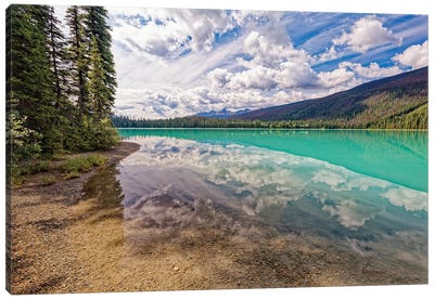 Emerald Lake Tranquil Reflections, British Columbia, Canada Canvas Art Print - George Oze