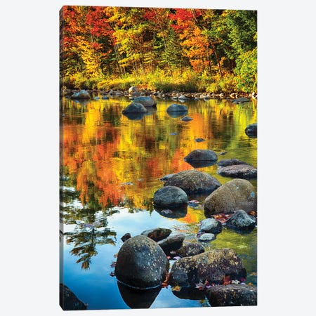 Fall Colors Reflected in a River Canvas Print #GOZ76} by George Oze Canvas Print