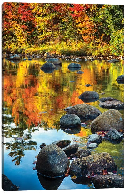 Fall Colors Reflected in a River Canvas Art Print - George Oze