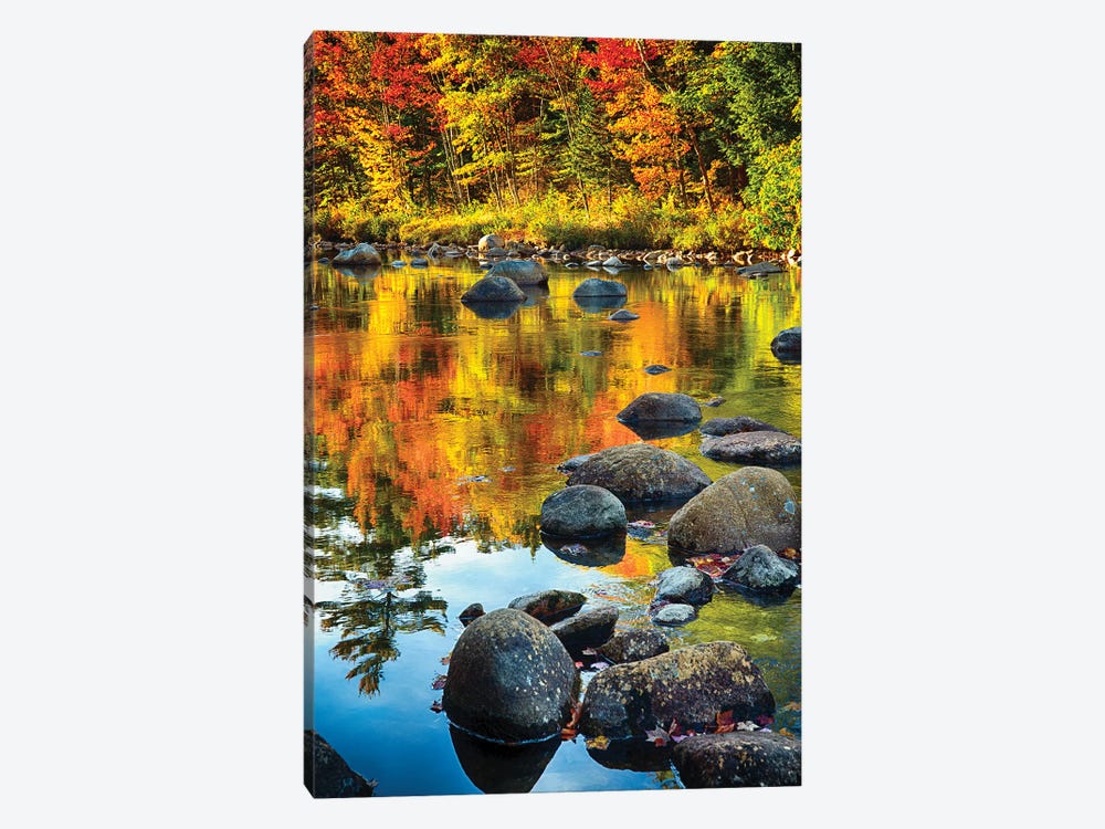 Fall Colors Reflected in a River by George Oze 1-piece Canvas Wall Art