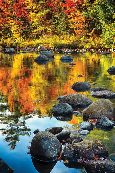 Rocks: Fall Colors Reflected in a River by George Oze