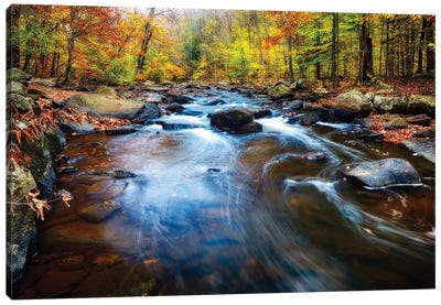 Fall Scenic of a Rocky River, New Jersey Canvas Art Print - Rock Art