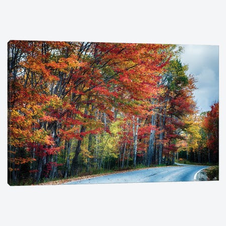 Fall Scxenic Road in Acadia, Maine Canvas Print #GOZ78} by George Oze Canvas Wall Art