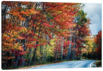Fall Scxenic Road in Acadia, Maine Canvas Art Print - Acadia National Park Art