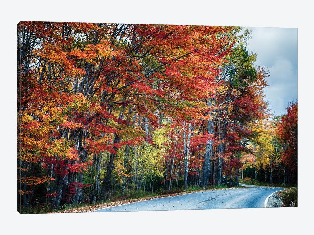 Fall Scxenic Road in Acadia, Maine by George Oze 1-piece Canvas Artwork