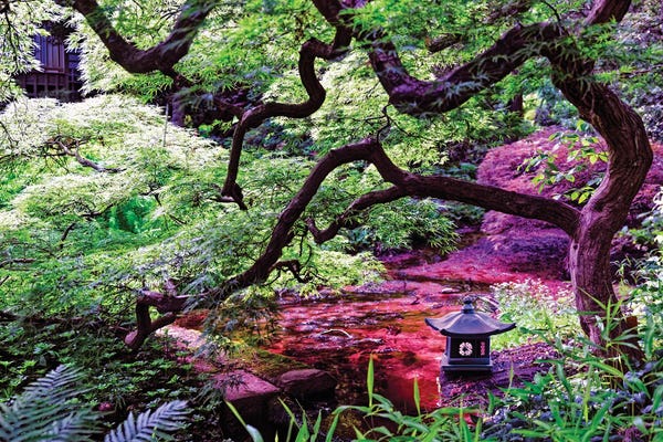 George Oze: Garden Retreat by George Oze