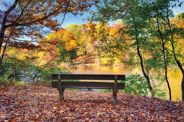 George Oze: Lakeview Scenic With A Park Bench, Morristown, New Jersey by George Oze