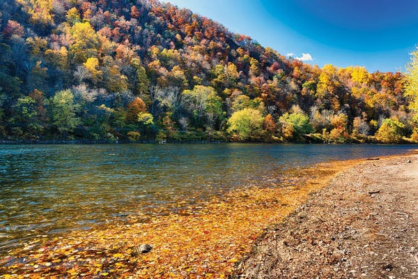 New Jersey: Delaware River Autumn In The Water Gap Area, New Jersey-Pennsylvania Border, USA by George Oze