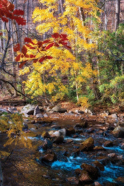 George Oze: Creek In A Gorge At Fall With Light Beaming Down, New Jersey by George Oze