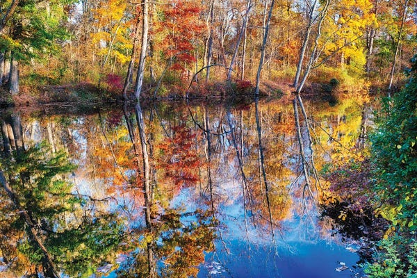 New Jersey: Fall Foliage Reflection In The Delaware And Raitan Canal, New Jersey by George Oze