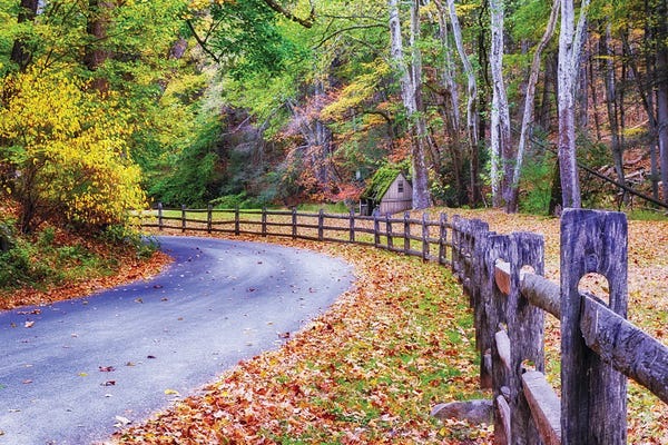 George Oze: Country Road In Bucks County, Pennsylvania During Autumn Season by George Oze