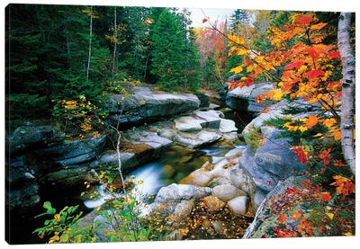 Granite rocks of Ammonoosuc River in Fall, White Mountains, New Hampshire  Canvas Art Print - Rock Art